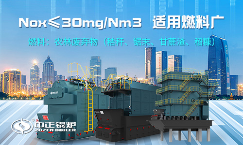 沼氣鍋爐廠家