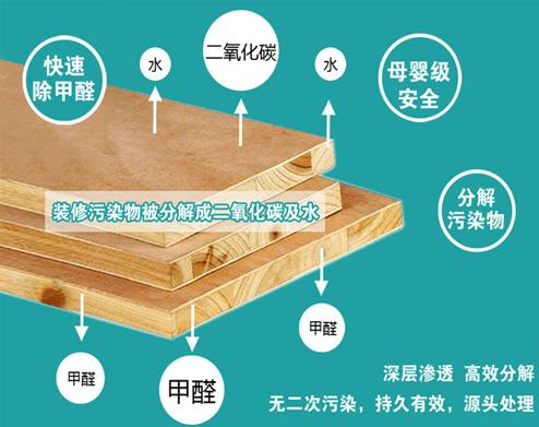 專(zhuān)業(yè)專(zhuān)注